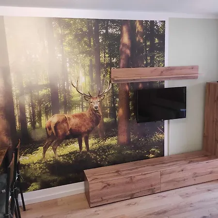 Gaestehaus Harzklause 3 *