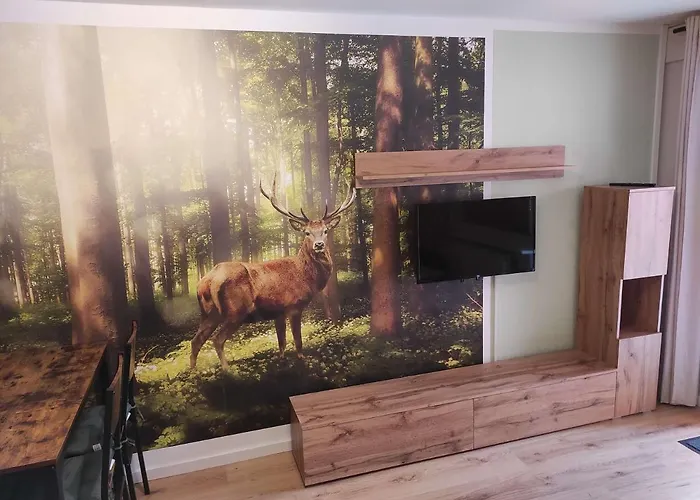 Gaestehaus Harzklause 3 *